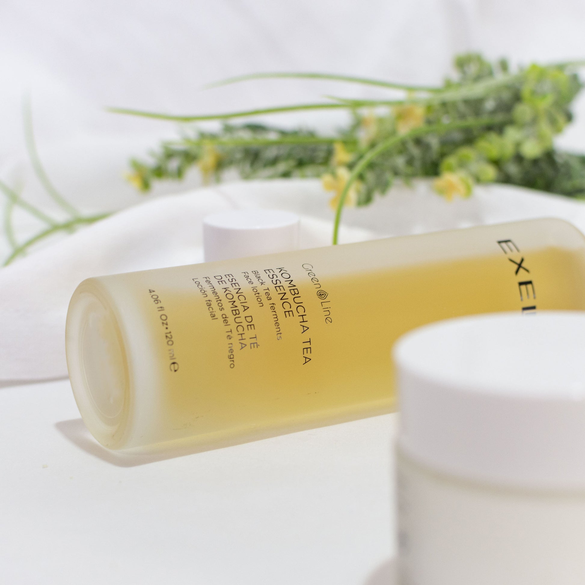 ESENCIA DE TÉ DE KOMBUCHA#120